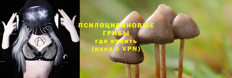 Псилоцибиновые грибы Magic Shrooms  хочу   Тулун 